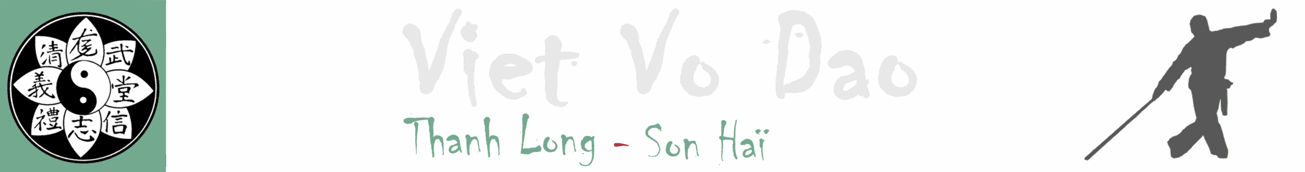 Viet Vo Dao Thanh Long Son Haï